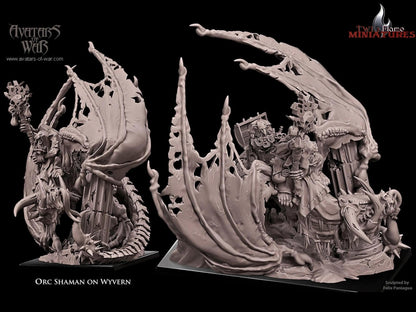 Orc Shaman on Wyvern Mount