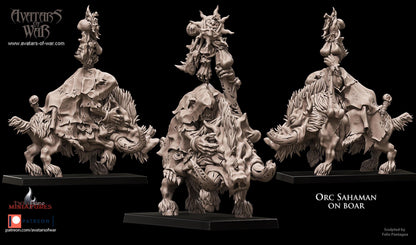 Orc Shaman on Boar