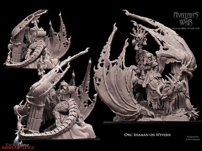 Orc Shaman on Wyvern Mount