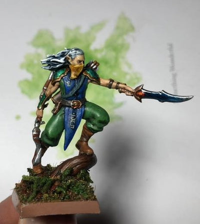 Joel's High Elf Rogue