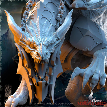 Orc Warlord on Wyvern