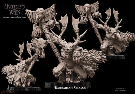 Barbarian Shaman | Male Tribal Spellcaster