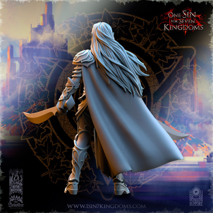 Lyriel Silvermoor Elves Captain