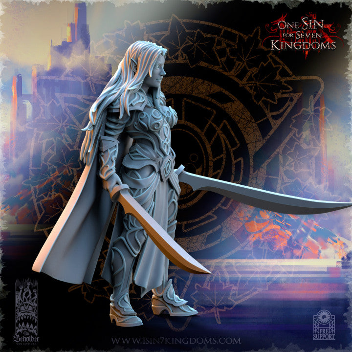 Lyriel Silvermoor Elves Captain