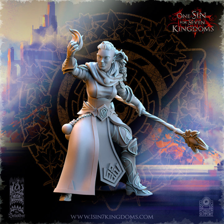 Silvermoor Elves Sorceresses Of The Inner Circle
