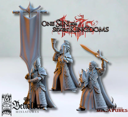 High Elven Army Starter Pack | Cavalry & Swordsmen with Command