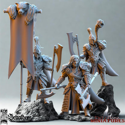 High Elves Bear Guardian Regiment, CG, Warriors & Chariot