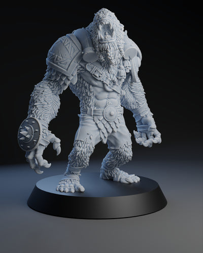 Fantasy Football Yeti